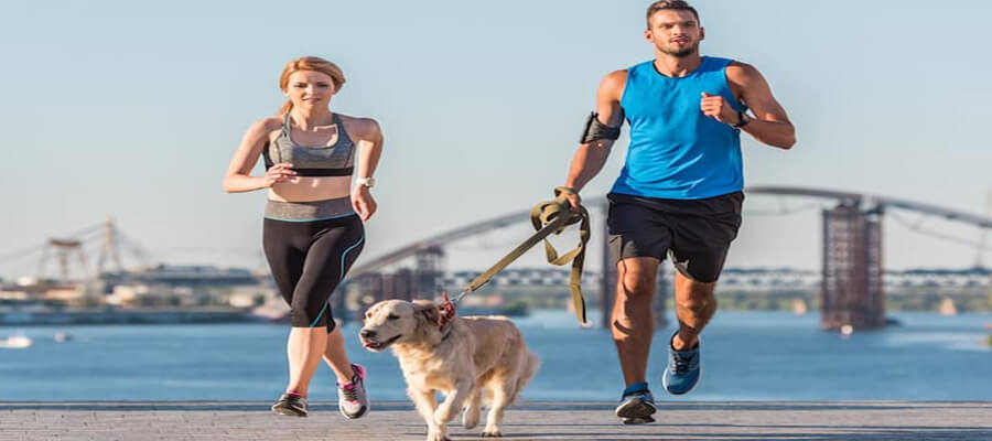 The Benefits of Regular Exercise for Your Dog